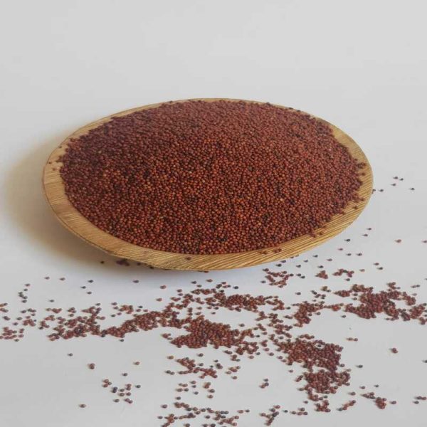 Ragi millet